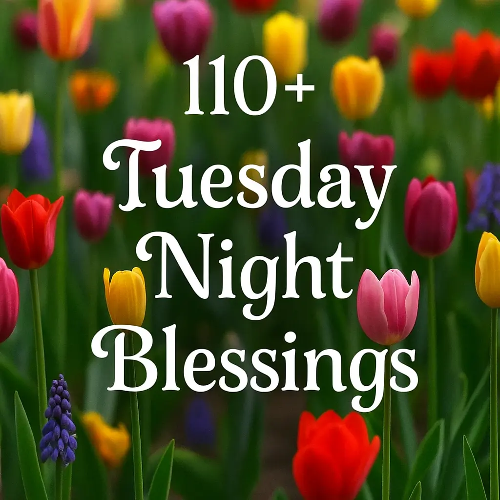 Tuesday Night Blessings